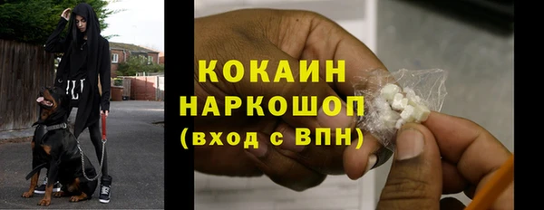 стаф Белокуриха