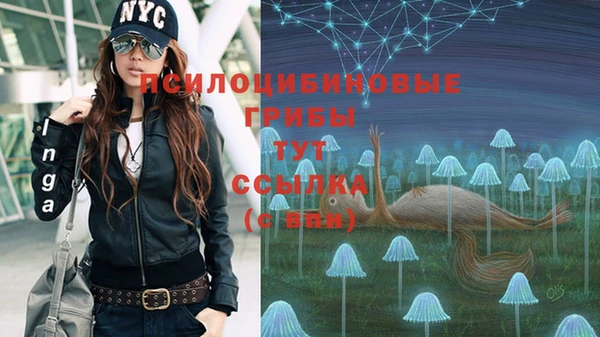 ECSTASY Бронницы
