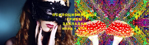 а пвп мука Бородино