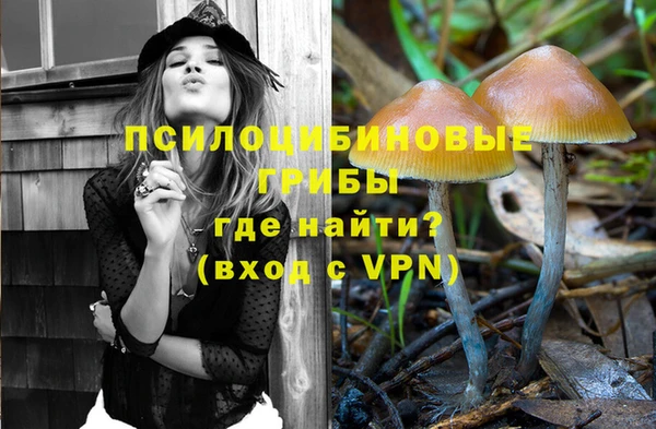 ALPHA PVP Беломорск